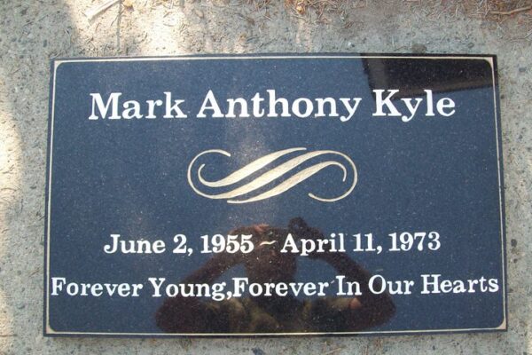 646826487_122102067927254133_5691691787261205516_n